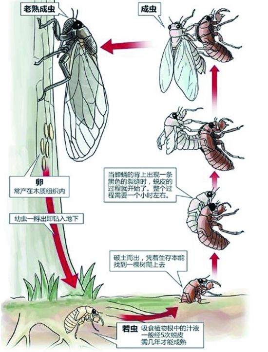 金沙官方登录入口